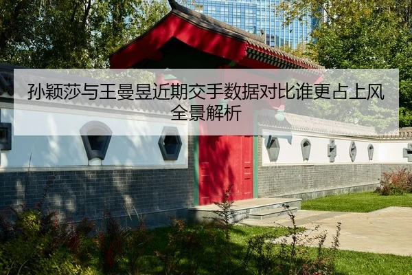 孙颖莎与王曼昱近期交手数据对比谁更占上风全景解析