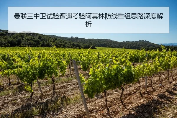 曼联三中卫试验遭遇考验阿莫林防线重组思路深度解析
